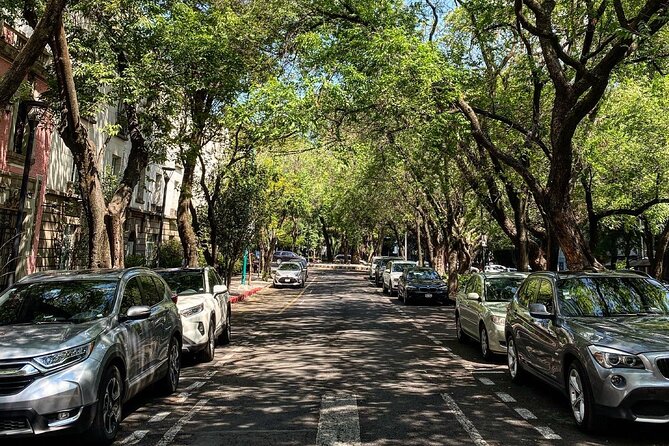 Epic Condesa and Roma Norte Walking Tour - Casa Basalta to La Romita: Art Spaces and Pre-Hispanic Roots