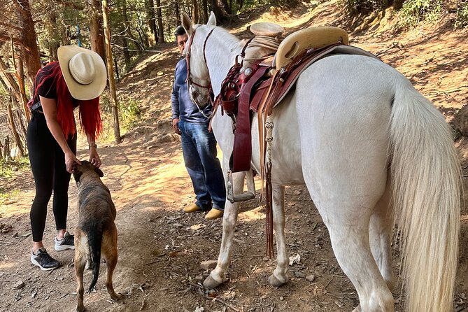 Exclusive Horseback Ride w/ Mexican Charros Family in México City - Getting Great Photos Without Getting in Trouble