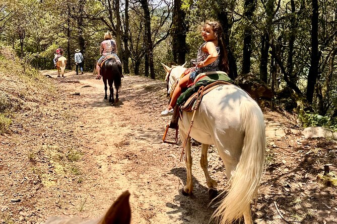 Exclusive Horseback Ride w/ Mexican Charros Family in México City - Private by Design: How the Team Adjusts for First-Time Riders