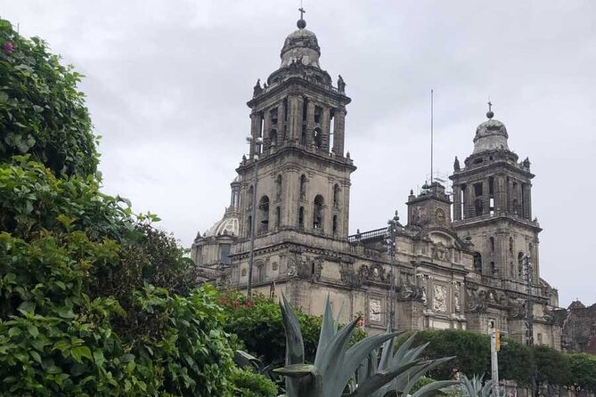 EXCLUSIVE TOUR Metropolitan Cathedral - Small Groups - Key things to know before you go