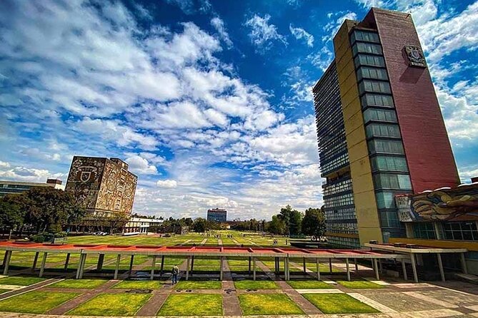 EXCLUSIVE TOUR: Murals+Ciudad Universitaria Stadium-small groups - The library moment and why guides make the difference