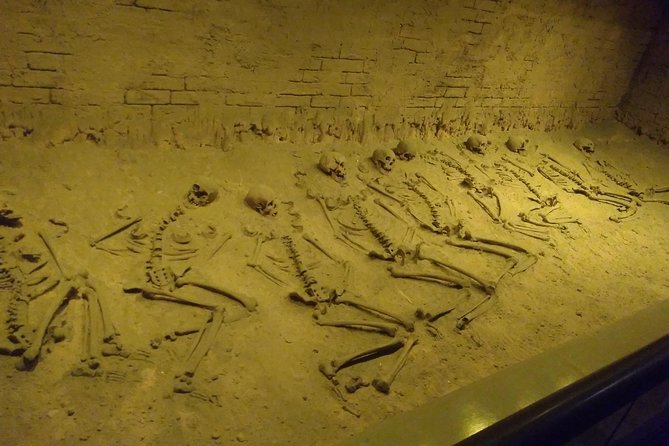 Explore Anthropology Museum in Mexico City - Timing and Comfort: How to Make a 9:30 am Start Work