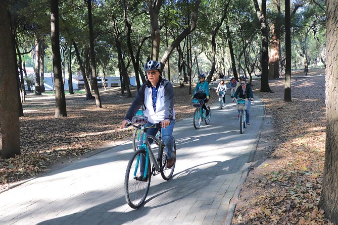 Explore Chapultepec & Mexico City sights by Bike - Price and value: does $78.86 make sense for 4 hours?