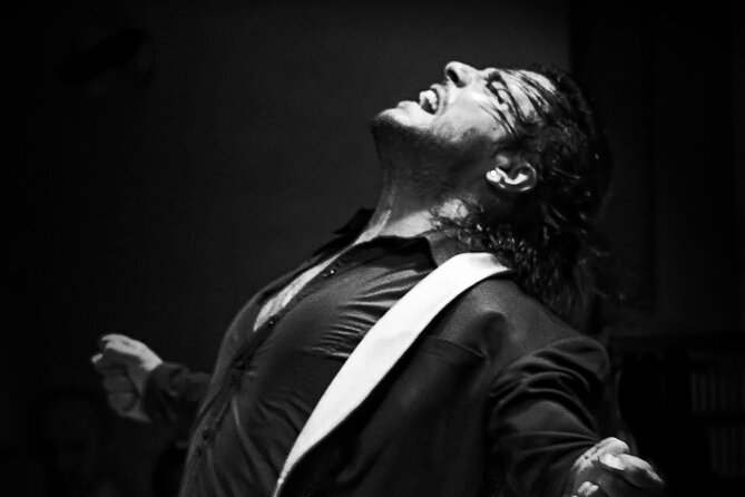 Flamenco Live Show and Dinner in Mexico City - Key things worth clocking before you go