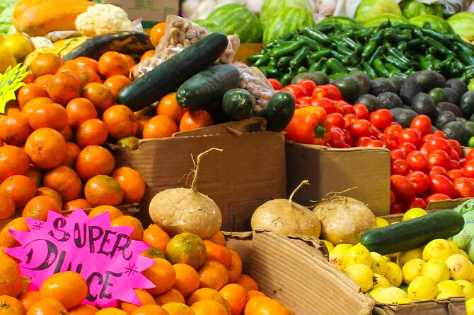 Flavors of Mexico City: A Tasty Urban Expedition - Who Should Book This and Who Might Skip It