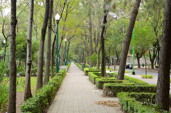 Foodie Tour in Polanco: Mexico Culinary roots! - Meeting point and timing: what your afternoon is really like