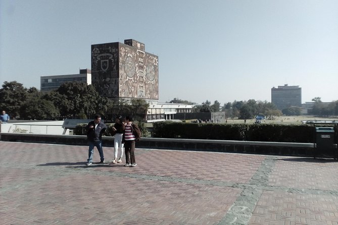 Frida Kahlo and Floating Gardens Tour with Transportation - UNAM Central Library murals: art with a university pulse