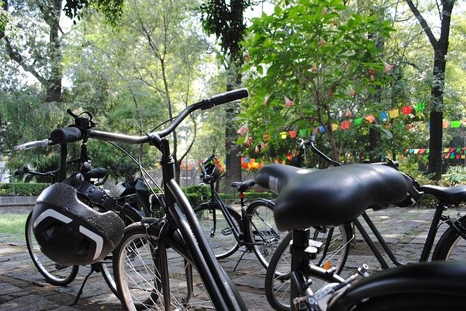 Frida Kahlo VIP - Bike & Churros [Museum Tickets Included] - Who Should Book This Bike-and-Blue-House Combo