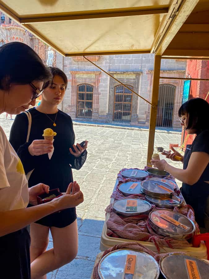 From CDMX: One day tour of colonial San Miguel de Allende - A One-Day Blueprint from Mexico City to San Miguel