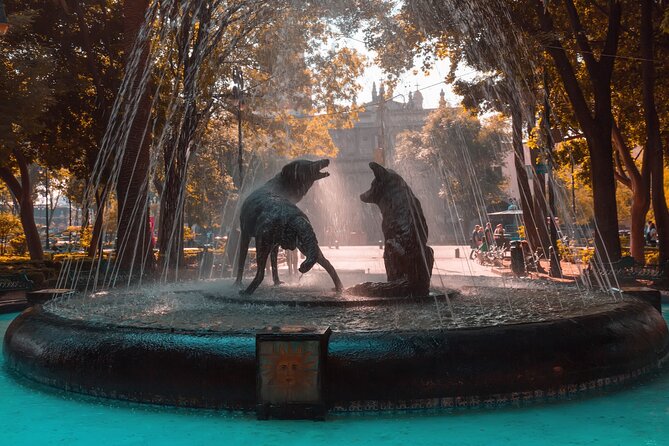 From cdmx: Tour in Coyoacan and Xochimilco all inclusive - The “panoramic first” approach in Ciudad Universitaria