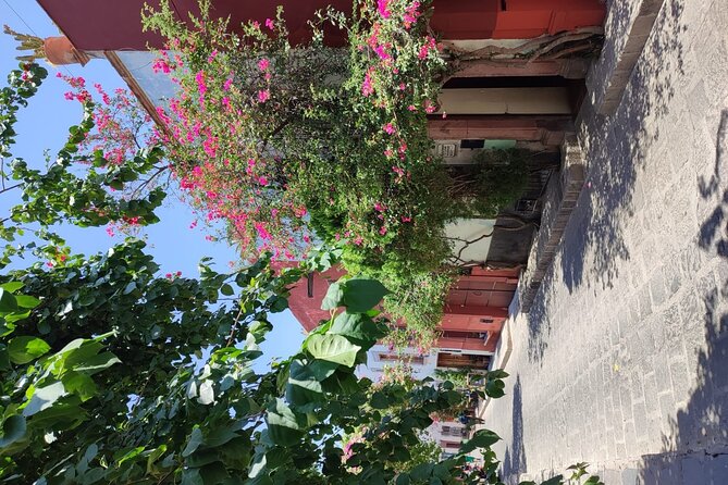 Full Day: San Miguel de Allende - Lunch is not included: how to plan food without losing time