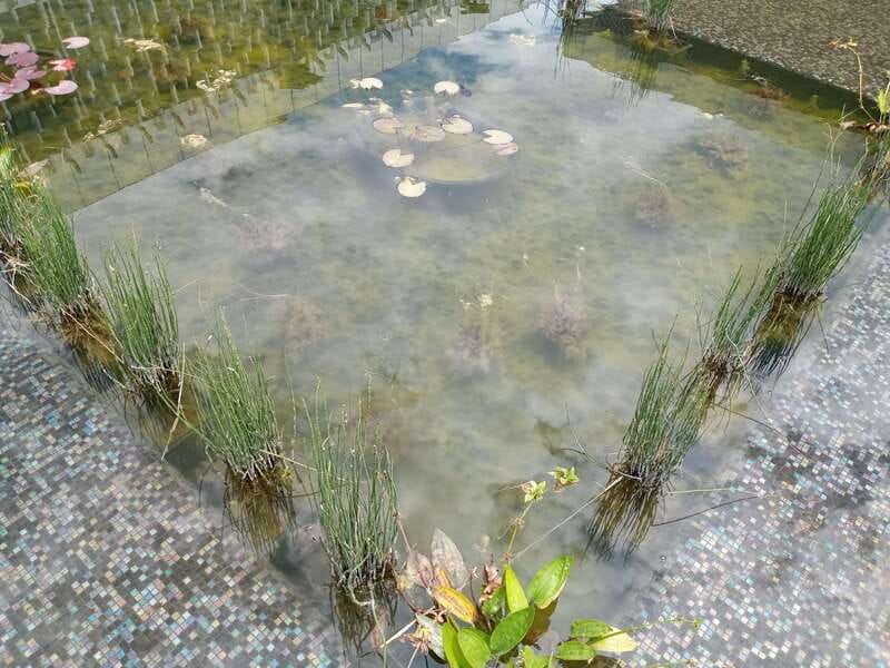 Guided Tour of the Museum of Anthropology - Museum gardens: why the setting makes the history feel real