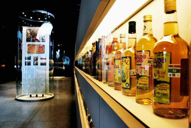 Guided Tour to the Tequila and Mezcal Museum - Key things to notice before you go