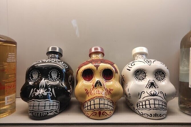 Guided Tour to the Tequila and Mezcal Museum - Duration and pacing: fast enough, not rushed-chaotic