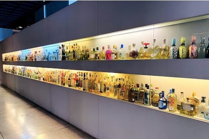 Guided Tour to the Tequila and Mezcal Museum - Entering MUTEM and getting your bearings fast
