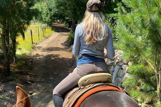 Horseback, Culture & Mexican Flavors Experience - A ranch day trip from Mexico City that actually feels local