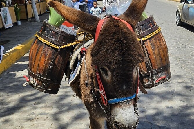 Horseback, Culture & Mexican Flavors Experience - Ranch arrival: snacks, small-practice, and matching the right horse