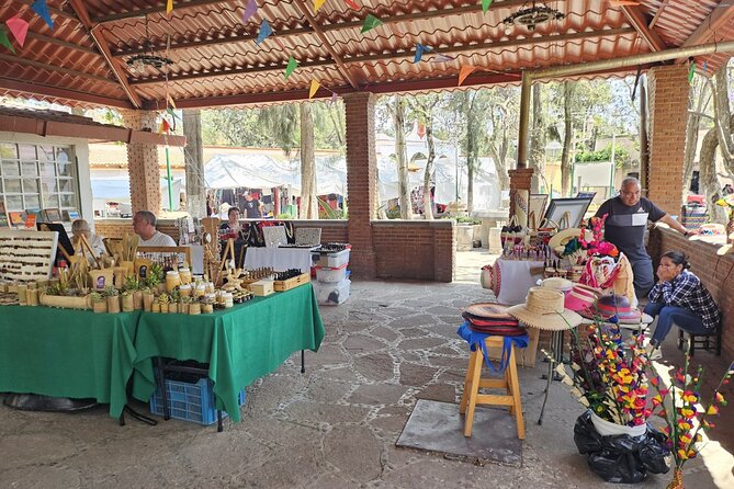 Horseback, Culture & Mexican Flavors Experience - The horse lesson: morphology and why breeds get used