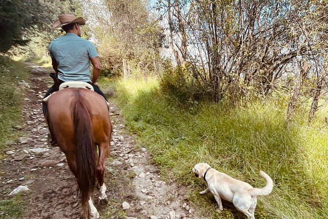 Horseback, Culture & Mexican Flavors Experience - Lunch and drinks: Mexican barbecue, wine toasts, and possible mezcal or tequila