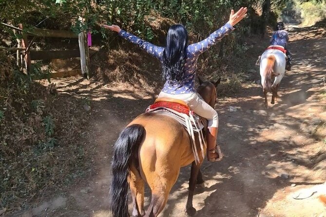 Horseback, Culture & Mexican Flavors Experience - Price and logistics: is $239 worth it?