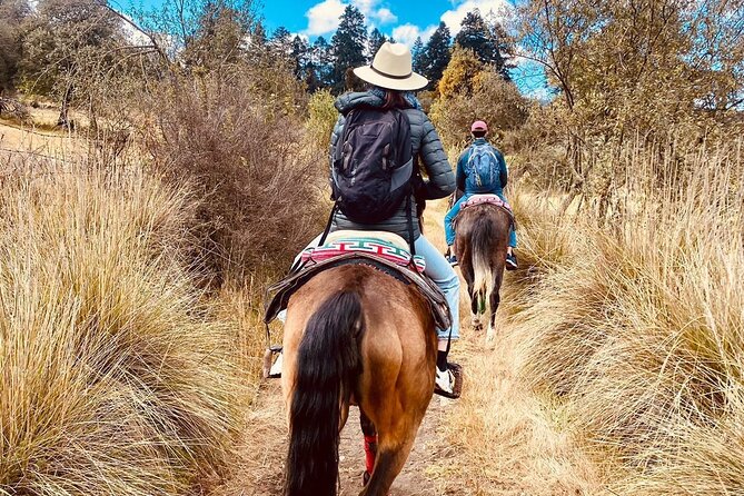 Horseback, Culture & Mexican Flavors Experience - Meeting at Roma Norte and the drive to Tepetlaoxtoc