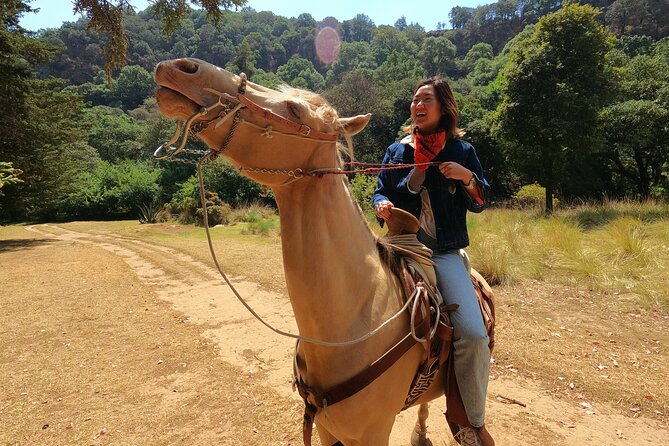 Horseback Riding in the Forest and Breakfast in Cabin - Key things to know before you go