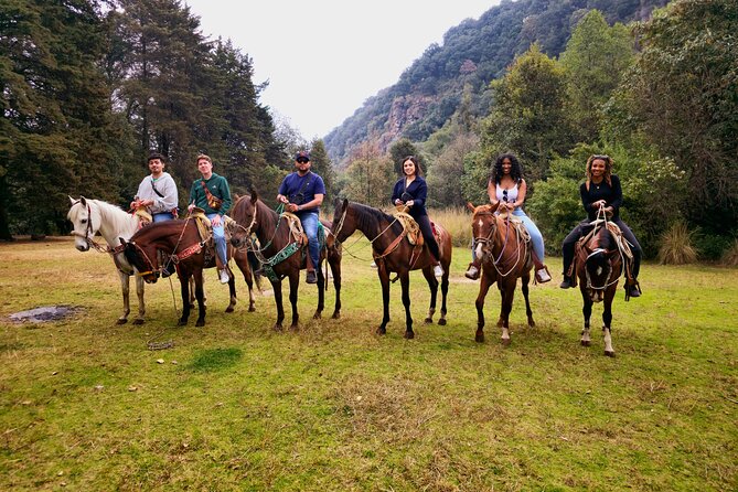 Horseback Riding in the Forest and Breakfast in Cabin - Value and price: what you’re paying for at $161.20