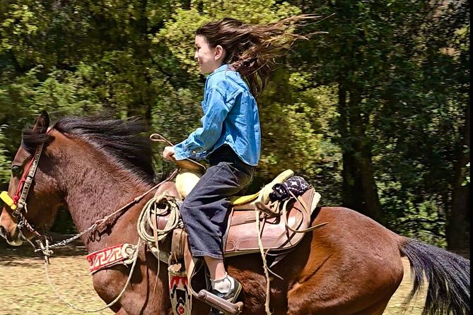 Horseback Riding in the Forest and Breakfast in Cabin - Who should book (and who should skip it)