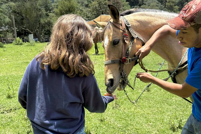 Horseback Riding in the Forest and Breakfast in Cabin - Should you book horseback riding in Los Dinamos and the forest cabin meal?