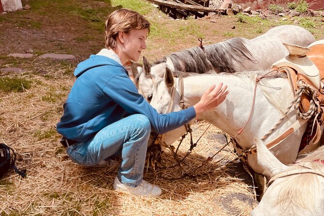 Horseback Riding through Mexican Haciendas - Price and Value: Is $160.84 Worth It?