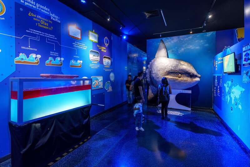 Inbursa Aquarium Entry Ticket with VR Option - Priority Entrance at Acuario Inbursa: the Time-Saver You’ll Feel