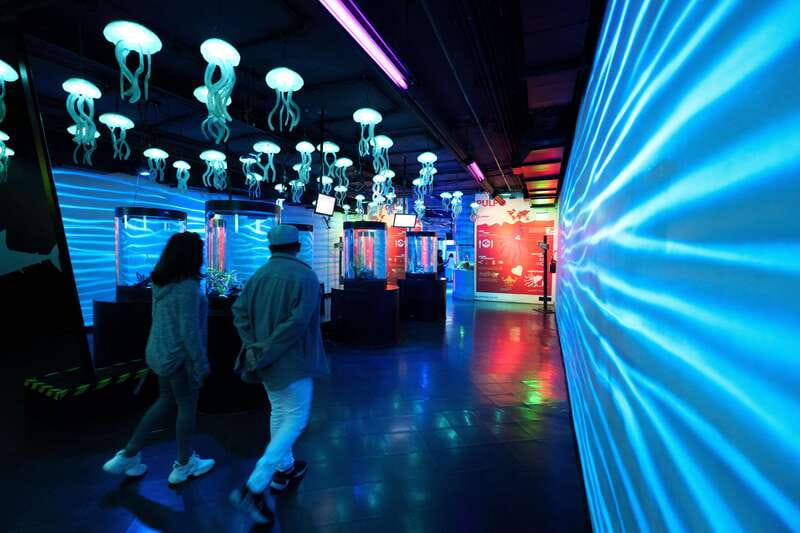 Inbursa Aquarium Entry Ticket with VR Option - Should You Book This Ticket?