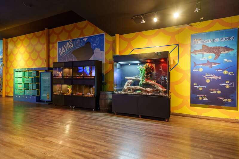 Inbursa Aquarium Entry Ticket with VR Option - Where Your Ticket Takes You Inside: Rooms, Habitats, and Real Animals