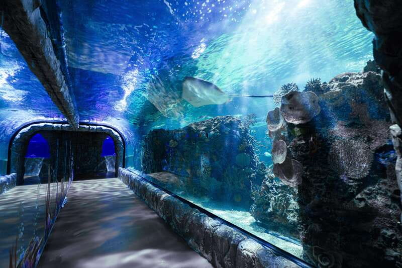 Inbursa Aquarium Entry Ticket with VR Option - Temporary Exhibitions: Extra Stops Without Extra Ticket Cost