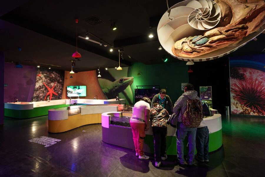 Inbursa Aquarium Entry Ticket with VR Option - Your Best Day Plan (10:00–18:00) Without Stress