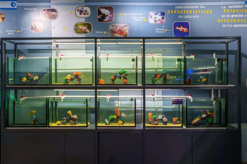 Inbursa Aquarium Entry Ticket with VR Option - Rules That Actually Matter: Food, Cameras, Pets, and Backpacks