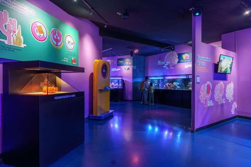 Inbursa Aquarium Entry Ticket with VR Option - Pricing, Value, and What’s Missing From the Ticket
