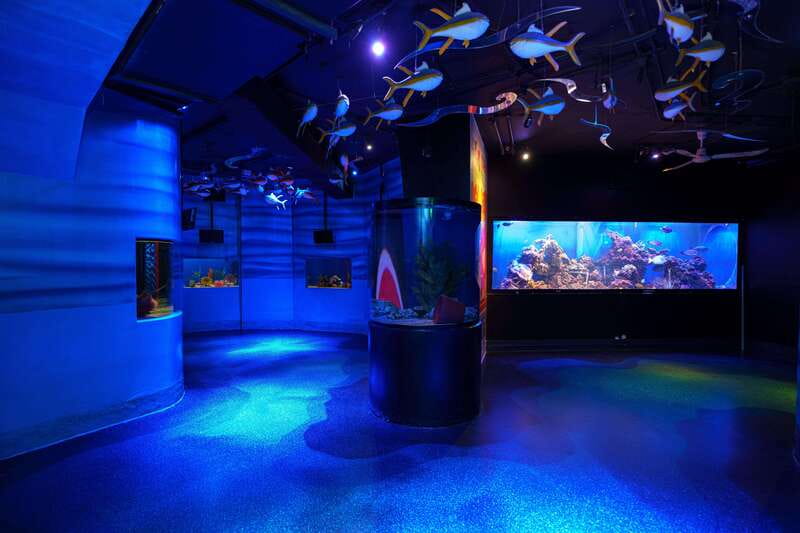 Inbursa Aquarium Entry Ticket with VR Option - Who This Fits Best: Families, Self-Guided Day Trippers, and VR Fans
