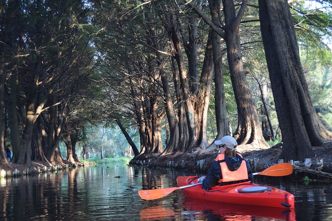 Kayak at sunrise in Xochimilco: agroecological experience - The heart of the lesson: chinampas, flowers, and why this place matters