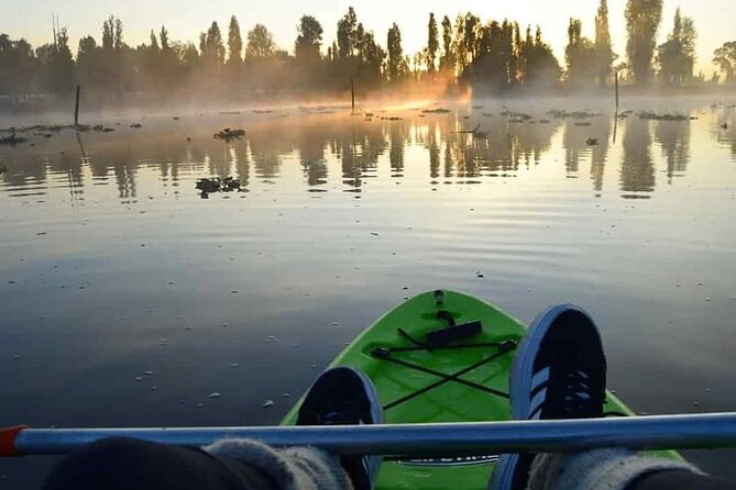 Kayak at sunrise in Xochimilco: agroecological experience - Axolotls and other canal life: how wildlife spotting fits the agroecology theme