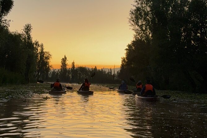 Kayak at sunrise in Xochimilco: agroecological experience - Guides, group size, and how the 5.5 hours actually flows