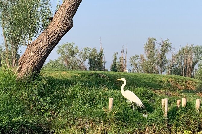 Kayak tour in Xochimilco - Gear tips for wet cold mornings (especially sunrise)