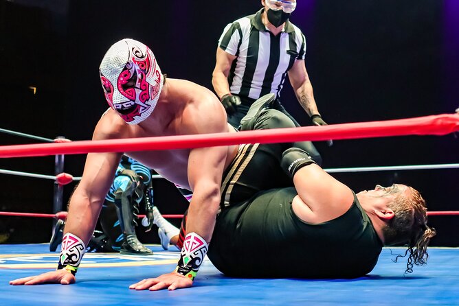 Lucha Libre, Pulque and Tacos Tour in Mexico City - Pulqueria vibes: pulque tasting plus live music