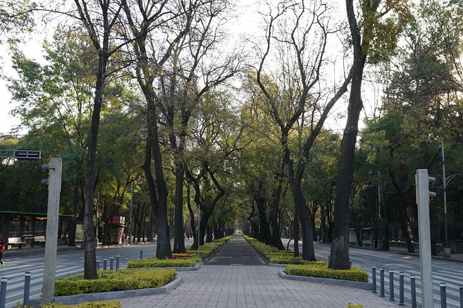 Mexico City: 19 City Highlights Bicycle Tour - Chapultepec: Bosque de Chapultepec and Castle views