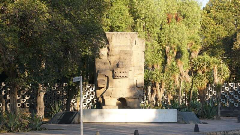 Mexico City: 19 City Highlights Bicycle Tour - Who This Tour Is For