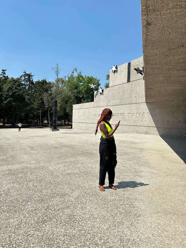 Mexico City: 1960s &1970s Mexican Architecture Walking Tour - Who this tour is for (and who should skip it)