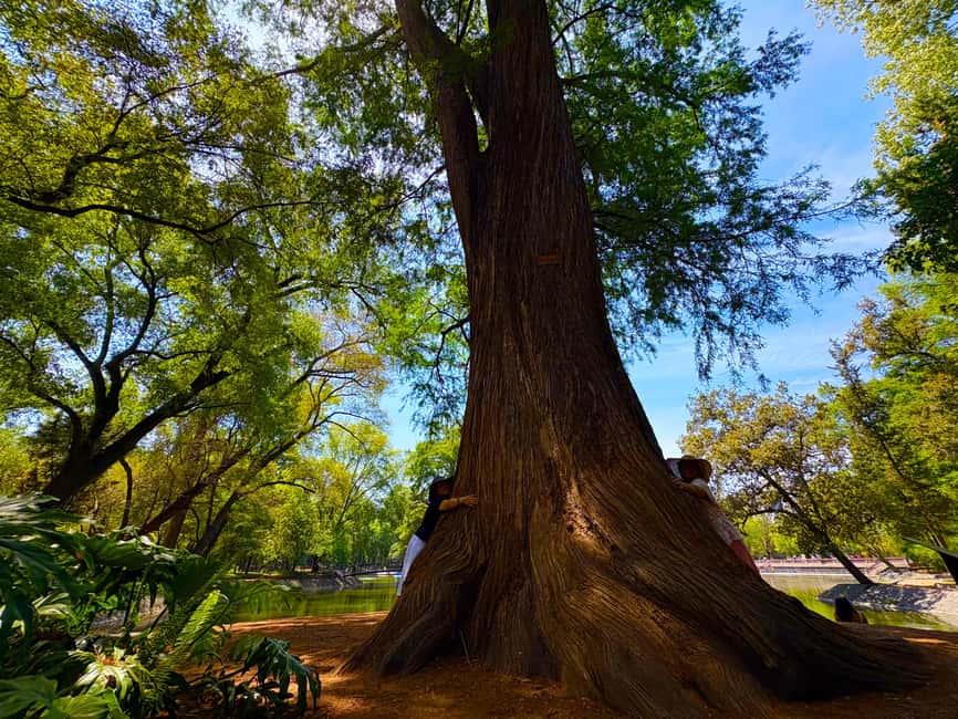 Mexico City: Chapultepec Castle and Forest Guided Tour - Guides and group feel: languages, style, and what to expect