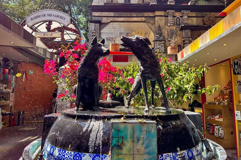 Mexico City: Coyoacan, Xochimilco & UNAM Full-Day Tour - Price and Value: What $59 Buys You in a Day Like This