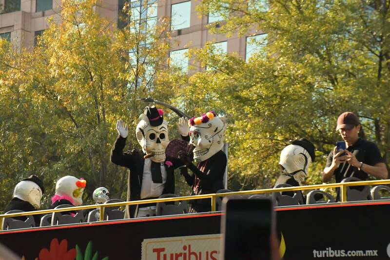Mexico City: Day of the Dead Tour - Who this tour suits best (and who should skip it)
