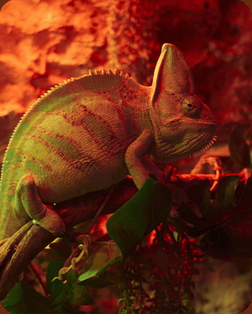 Mexico City: Fast Pass Ticket to Acuarium Inbursa - Your one-day game plan inside the aquarium